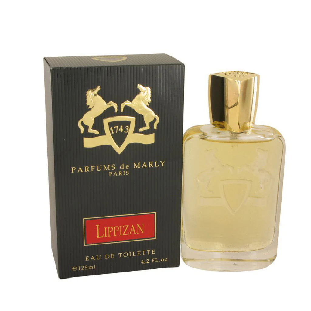Lipizan By Marly