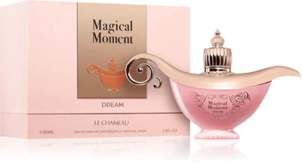 Magical Moment Dream